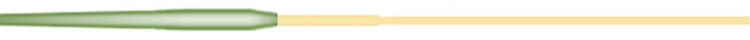 Barrio Switch Fly Line Profile