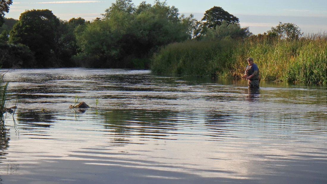 Summer evenings on the river